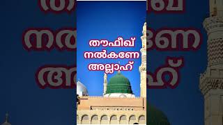 ആമീൻ song music malayalam shortfeed shots [upl. by Finnie]