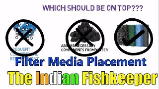 Filter Media Placement  Why It Is Important [upl. by Nylitsirk]