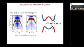 Is Ta2NiSe5 an excitonic insulator [upl. by Aehsa]