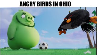 normal day in angry birds ohio 💀 [upl. by Niawat466]