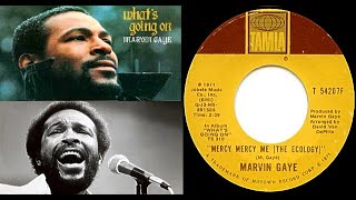 ISRAELITESMarvin Gaye  Mercy Mercy Me The Ecology 1971 Extended Version [upl. by Westerfield802]