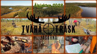 Älgjakten 2023  avsnitt 2  Moose Moves [upl. by Vareck]