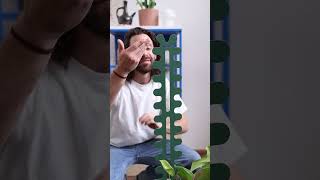 How to fix a monstera stem plants monstera houseplants [upl. by Evette]