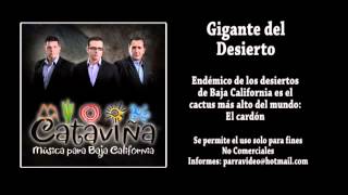 Música Baja California Gigante del Desierto Grupo Cataviña [upl. by Newnorb]