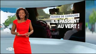 Reportage M6  Ces parisiens qui privilégient la campagne pour passer leur permis [upl. by Rezeile]