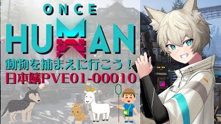 【Once human】動物を捕まえたい！！PVE0100010鯖【新人Vtuber】 [upl. by Rhtaeh781]