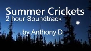 NATURE SOUNDS SUMMER CRICKETS  Sleep Aid Ambient Soundtrack [upl. by Farlee]