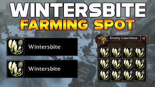 SoD BEST WINTERSBITE FARMING SPOT  World of Warcraft Classic [upl. by Edik]