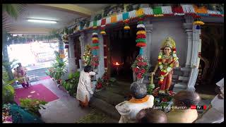 Culture tamoul  temple Siva de Saint Paul  Île de la Réunion [upl. by Eiliab495]