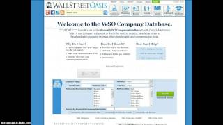 WSO Company Database [upl. by Laehcym]