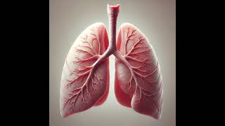 Breath sounds Quiz for Respiratory Students [upl. by Kcirdlek]