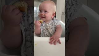 Baby is trying apple fritters for the first time [upl. by Christoper]