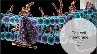 Cell membrane structure 2021 [upl. by Elset]