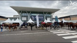 Equita’Lyon 2019 à Eurexpo 69 par Espritrait [upl. by Nnylirehs267]