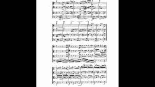 A Dvorak String Quartet no9 in Dminor op34 44 Finale [upl. by Yelsnik]