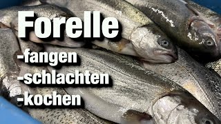 Forellen angeln  Fische Schlachten Kochen Steckerlfisch grillen [upl. by Damahom]