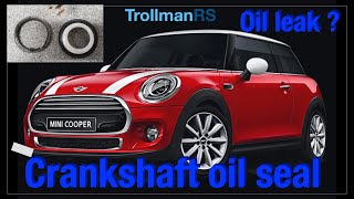 Mini R56 crankshaft oil seal fix with no special tools Engine Oil leak BMW Mini cooper one models [upl. by Renfred]