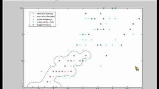 How to Use SVM in MATLAB [upl. by Ahkeber]