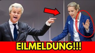 Geert Wilders Schockierende Botschaft an Alice Weidel – Ein Neuer Abschnitt im Kampf für Europa [upl. by Sosanna594]