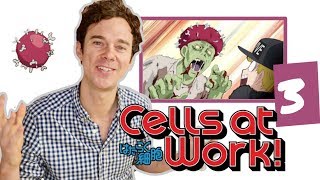 Real DOCTOR reacts to CELLS AT WORK  Episode 3  quotInfluenzaquot [upl. by Notaek]