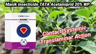 Manik insecticides Acetamiprid 20 SP aphid jassid thrips Whitefly best control [upl. by Dnarud]