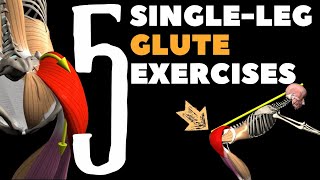 5 Singleleg Glute exercises  Watch all active muscles [upl. by Erde]