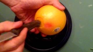 The best way to cut a grapefruit [upl. by Trixy]