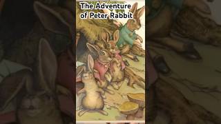 Peter Rabbit A Night Under The Stars [upl. by Bailie]