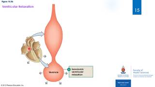 5 Blood flow and lymphatics [upl. by Glennis538]