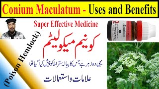 Conium 30 200 1M1000 homeopathic medicine uses in HindiUrdu  Conium Mac homeopathic benefits [upl. by Alfred609]