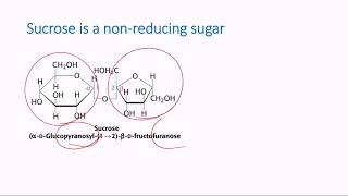 Nonreducing Sugars [upl. by Granville843]