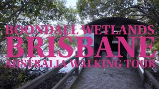 BRISBANE BOONDALL WETLANDS ENVIRONMENT CENTRE  AUSTRALIA WALKING TOUR  QUEENSLAND IN 4K [upl. by Yrnehnhoj]