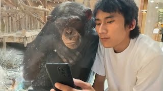 Monkeys Reacting to See Phone For The First Time  Funniest Animals and Pets [upl. by Riki]