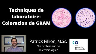 LABORATOIRE DE MICROBIOLOGIE COLORATION DE GRAM [upl. by Naraj773]