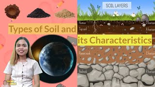 Types of Soil and Its Characteristics  Science 4  Quarter 4 Week 1 [upl. by Chaney]