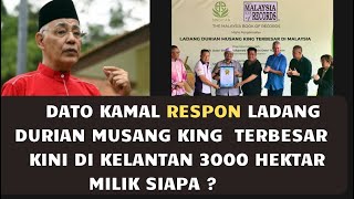 DATO KAMAL RESPON LADANG DURIAN MUSANG KING TERBESAR KINI DI KELANTAN 3000 HEKTAR MILIK SIAPA [upl. by Aderfla909]