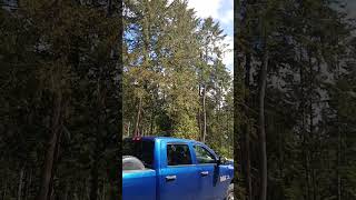 Rathtrevor Beach Provincial Park Campsite Vancouver Island [upl. by Lasorella581]