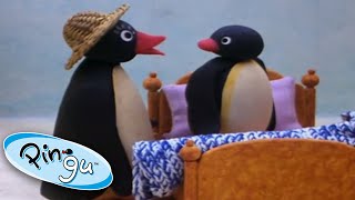 Pingu is Jealous of Pinga  Pingu Official  Cartoons for Kids [upl. by Danny392]