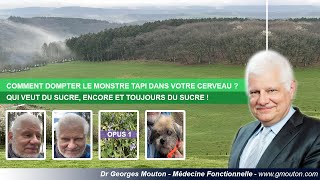 COMMENT DOMPTER LE MONSTRE TAPI DANS VOTRE CERVEAU [upl. by Mahla]