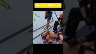 Best Standing Guillotine in UFC shorts [upl. by Nevaeh594]