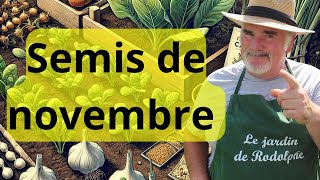 Les 10 meilleurs légumes à semer en novembre même par temps froid [upl. by Yzmar]