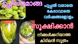 മാങ്ങഉപ്പിലിട്ടത്  വർഷങ്ങളോളം കേടാവില്ല പൂപ്പൽ വരില്ല  Manga Uppilittathu [upl. by Nrubua]