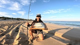 Solo Beach Fishing quot Plastics Twisty  CATCH and COOK [upl. by Eiresed]