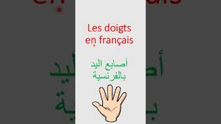 Les doigts en français أصابع اليد بالفرنسية [upl. by Yereffej]