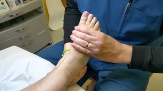 Mobilising MidTarsal Joint of foot [upl. by Coward]