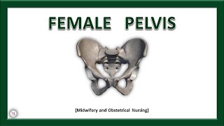 FEMALE PELVIS  Anatomy  Bones  Ligaments  Joints  True amp False Pelvis  The Nurses Station [upl. by Ynnavoj]