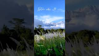 Malai kaatru vanthu tamil pesuthe  Nature love whatsapp status  BGM shorts trending nature [upl. by Aihsila707]