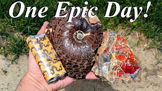 One of our Best Fossil Hunts Yet Big Ammonite Vivid Ammolite Barite Crystals amp Baculites Galore [upl. by Enaujed731]