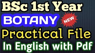 Bsc 1st year Botany Practical File in English bsc2023 [upl. by Atiluap]