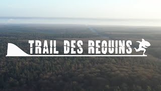 Trail des Requins 2020 [upl. by Sebbie]